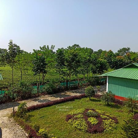 Grasshopper Jungle Queen Resort Chālsa 외부 사진