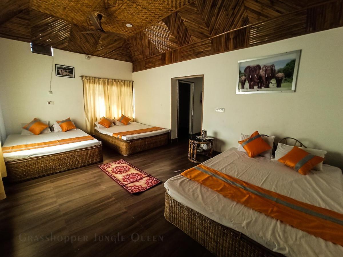 Grasshopper Jungle Queen Resort Chālsa 외부 사진