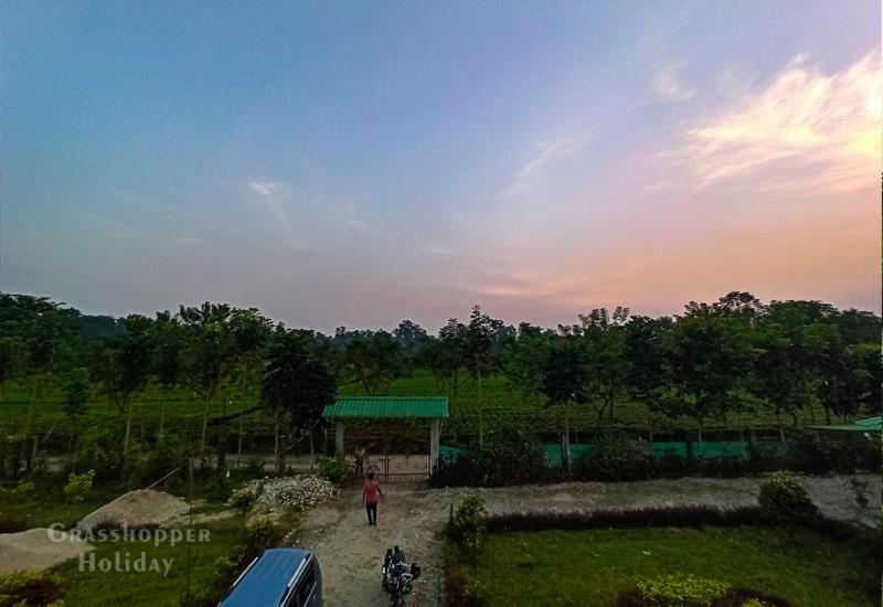 Grasshopper Jungle Queen Resort Chālsa 외부 사진