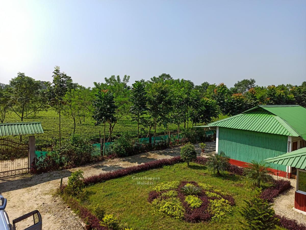 Grasshopper Jungle Queen Resort Chālsa 외부 사진
