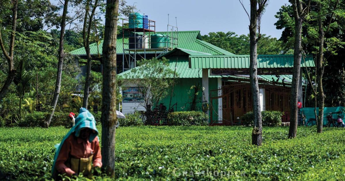 Grasshopper Jungle Queen Resort Chālsa 외부 사진